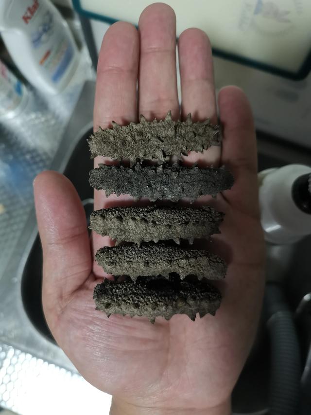 海参干如何发（干海参泡发教程）