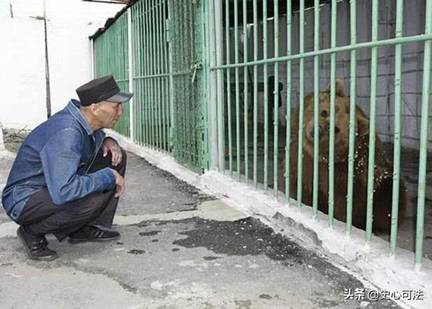史上唯一的棕熊，世界上唯一一只入狱的棕熊