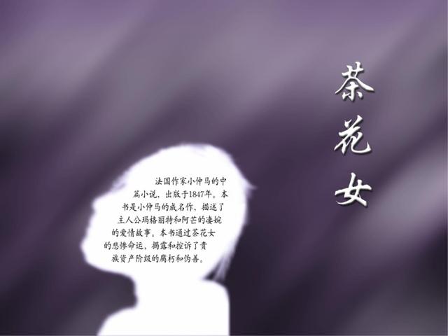 名著内容简介，名著内容简介500字（有兴趣的可以看看）
