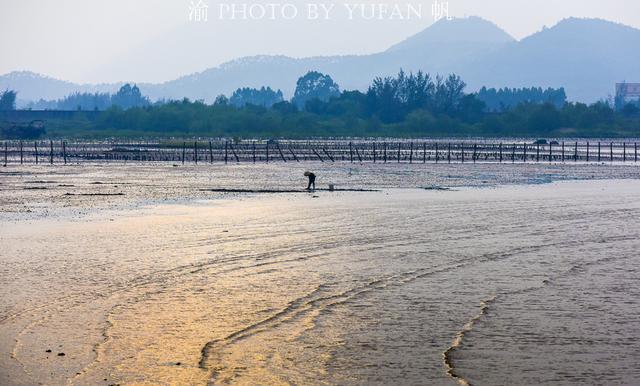 海陵岛红树林赶海攻略，海陵岛不只有碧海银沙