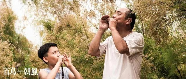 出品人下跪，半个电影圈大佬发声助阵，《百鸟朝凤》刺痛了谁？