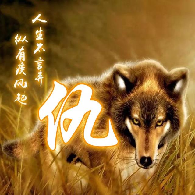 狼图片头像 凶猛 霸气 冷酷，100张姓氏霸气狼头像（100张“血性狼”姓氏头像、送给在困境中坚持梦想的你）