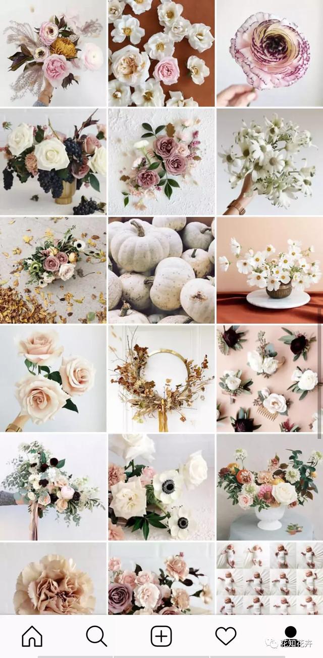 安卓instagram怎么注册，安卓怎么注册ins（一个强大的移动花艺学习平台）