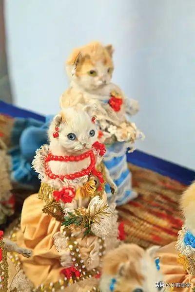 手不释卷的动物，手足之情的动物是什么生肖（世传王安石是獾转世投胎）