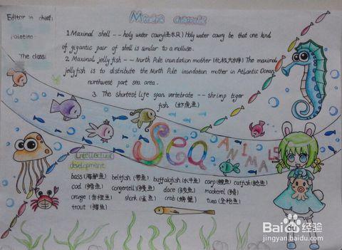 英语小报怎么画，英语手抄报怎么画（帮孩子解决难题→英语手抄报）