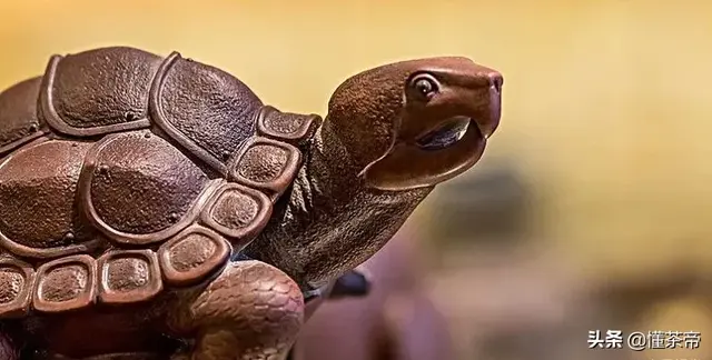 金蟾怎么摆放招财，嘴里含钱的金蟾怎么摆放招财（快看看怎么正确摆放吧）