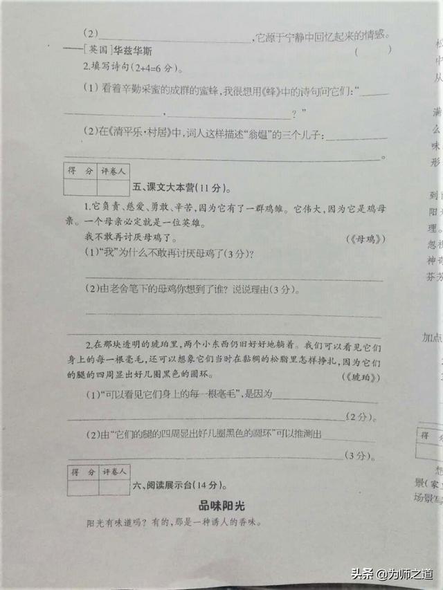 潜水的新含义是什么意思，潜水新的含义是什么（分享四年级语文下册期中试卷）