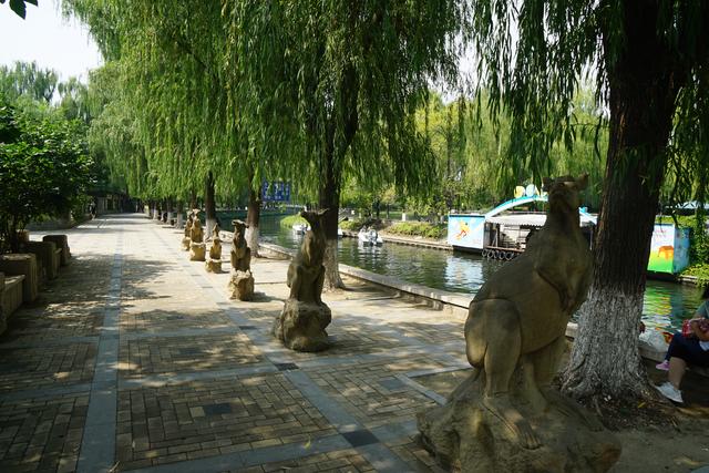 中国最大的动物园，中国动物园排名（中美动物园大PK）