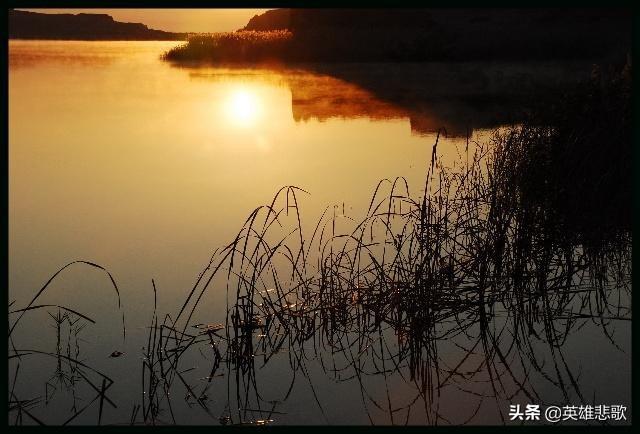 丁玲作品有哪些，丁玲作品（毛主席称赞她是：昨天文小姐）