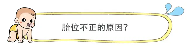 怀孕胎位不正原因，头胎胎位不正的原因（可能和准妈妈的体质有关系）