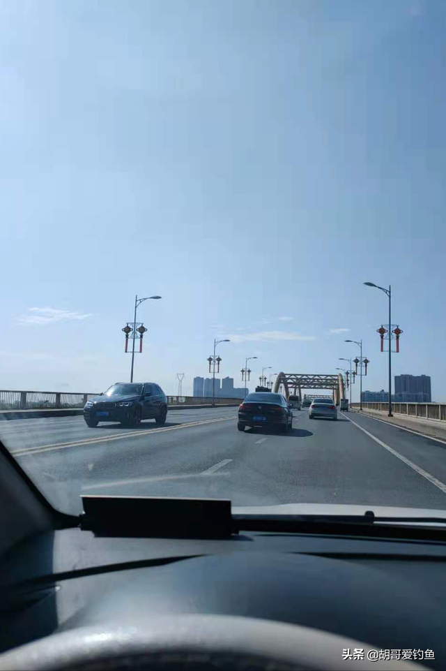 红鲫鱼怎么样饲养，红鲫鱼养殖技术（你不知道的钓鱼冷知识<4>）