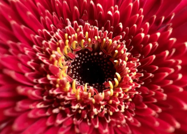 像素最好的手机是哪一款，什么手机像素最高清（盘点几款拍照好看的手机）