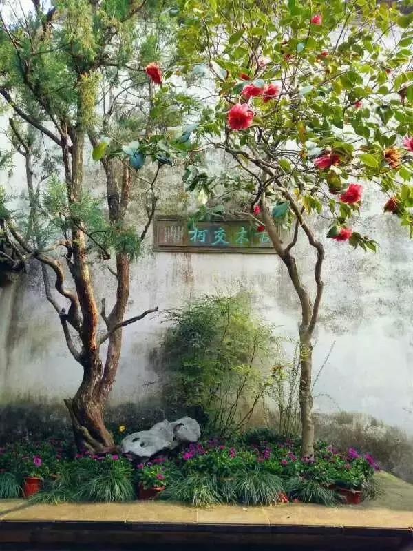 中国四大名园分别是什么，中国四大名园是哪些（中国的四大名园，想象不到的美）