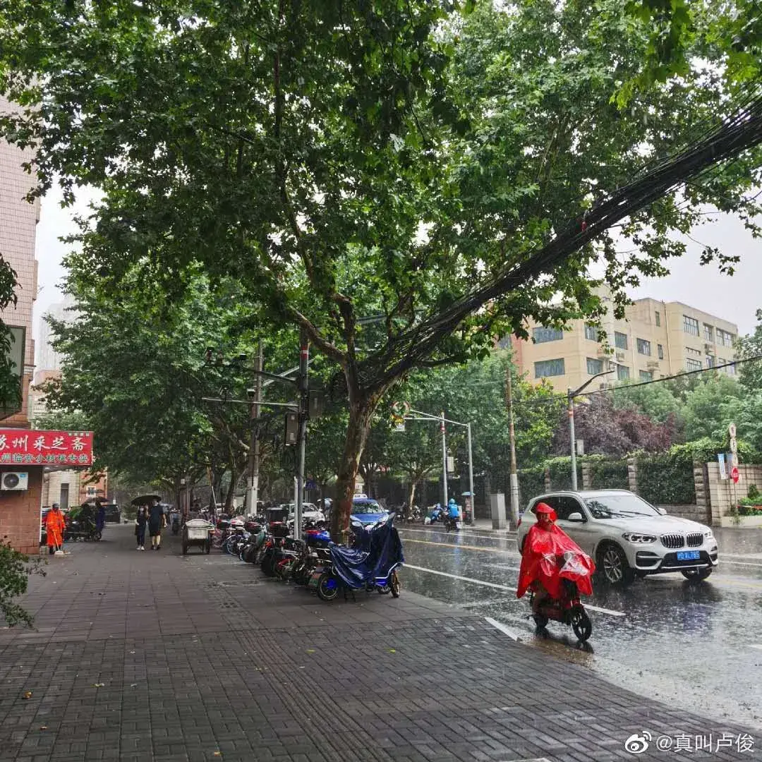 上海市区是哪个区(上海最富裕的三个区)