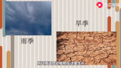 赤道是什么意思，赤道为什么叫赤道（赤道是地球的\