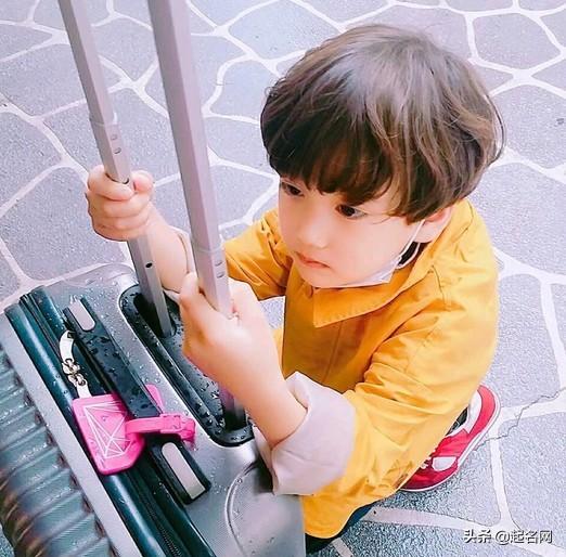 草字头的字男孩名，草字头的字有哪些适合取名字男孩（从好听稀少的男孩名字开始）