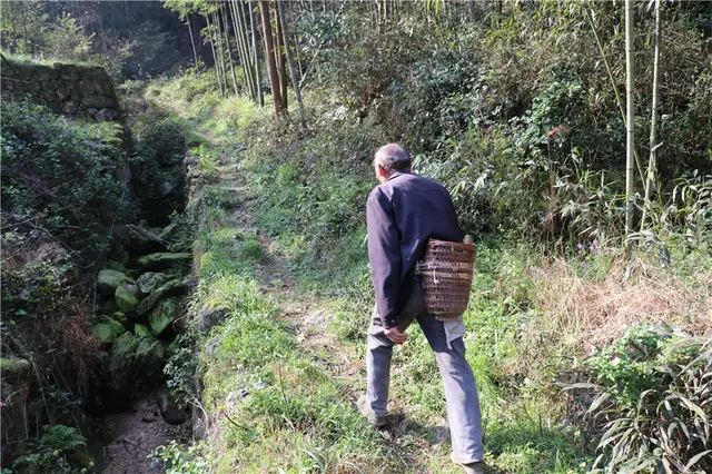 畚斗是哪里的方言，斗怎么读音是什么（诸暨话，最有个性的江南方言）