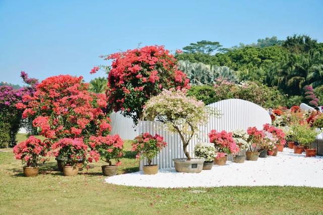 深圳坪山有什么寺庙，深圳坪山哪里有寺庙（我找了深圳10座山和你爬）