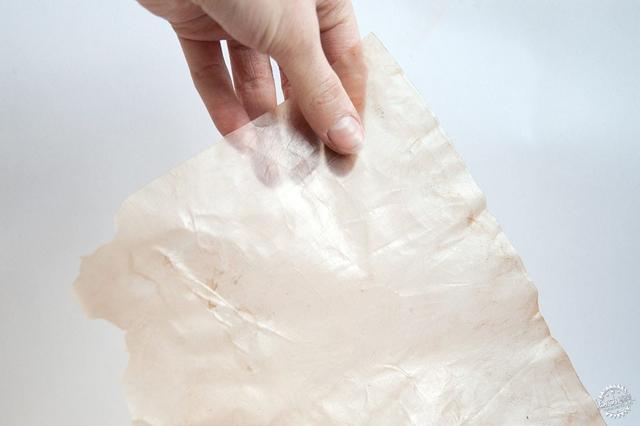 acetic是什么面料，acetite什么面料（这些包装纸竟由果皮制成）