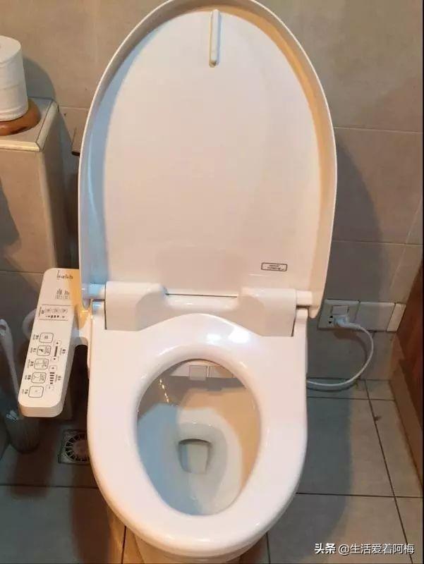 霸王芋，卫生间潮湿、发霉、不通风（霸王芋的养殖方法和注意事项）