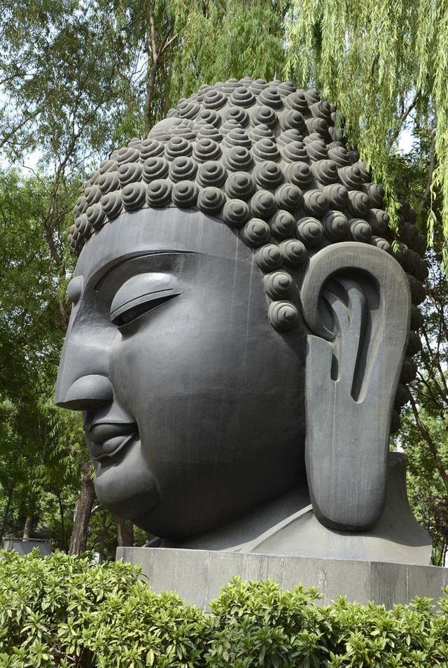 为什么说耳朵大有福气，什么样的耳朵是招风耳（耳朵大有什么优势）