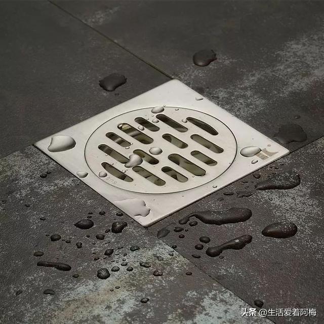 霸王芋，卫生间潮湿、发霉、不通风（霸王芋的养殖方法和注意事项）