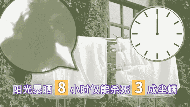 身上有螨虫怎么办，怎么才能清除人身上的螨虫（家庭主妇教你这么做）