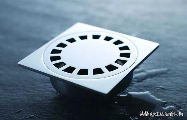 霸王芋，卫生间潮湿、发霉、不通风（霸王芋的养殖方法和注意事项）