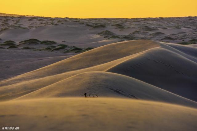 阿拉善属于哪个市，阿拉善在哪个省份哪个市（是自驾越野的荒凉秘境）