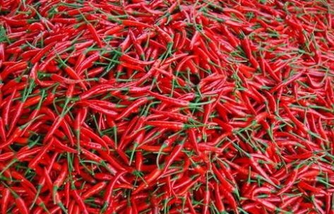 世界上最辣的辣椒辣度排行榜，朝天椒垫底，魔鬼辣椒仅排第二