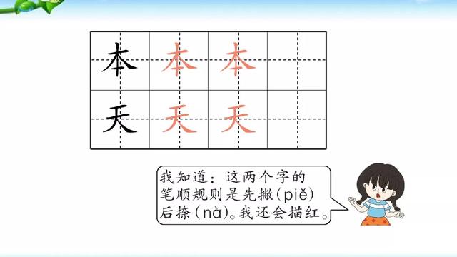 鸟字旁的字和什么有关，鸟字旁的字有哪些（部编版小学语文一年级上册《语文园地五》图文讲解）