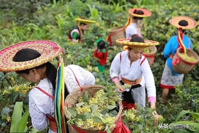 湖南的瑶族属于什么瑶，一个藏在隆回大山深处神秘民族