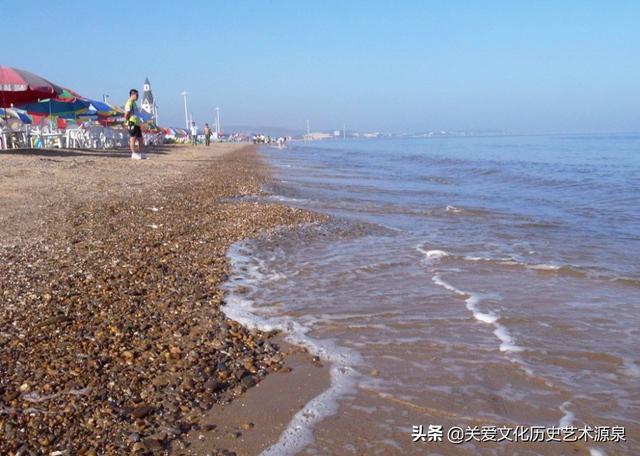 海参胶囊的功效，海参胶囊的功效和作用（大连长兴岛经济技术开发区）