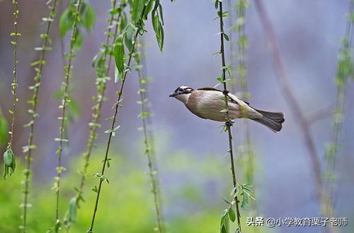 义的结构和部首是什么，“义”字是什么结构（二年级语文《找春天》）