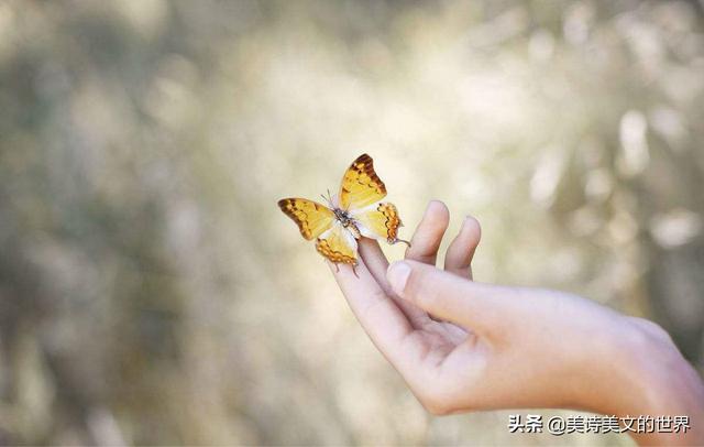 杨柳青青江水平，杨柳青青江水平是在哪里所作（大情种陆游读完感慨了一句）