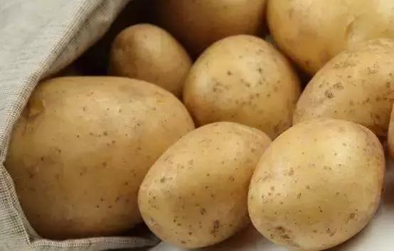 大头菜和卷心菜是一个菜吗，卷心菜和包菜的区别（12种蔬菜的N种四川喊法）