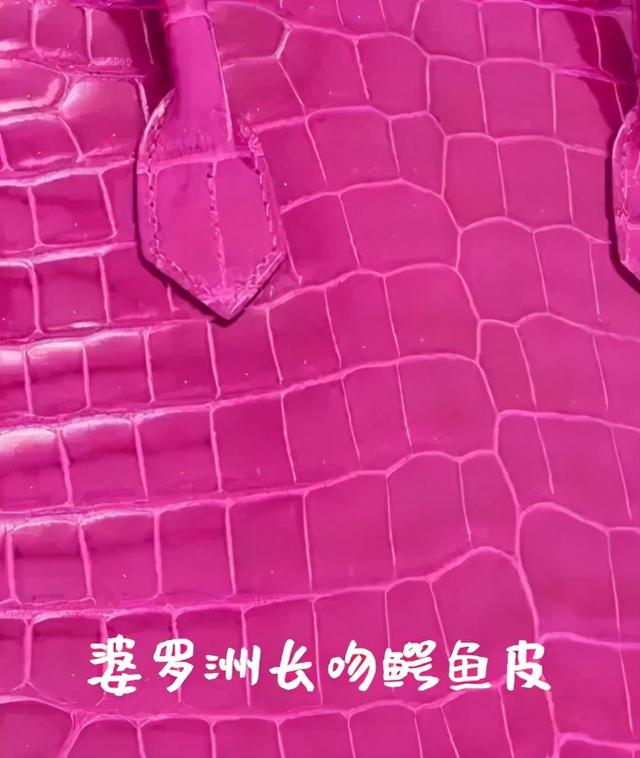 hermes是什么牌子，hermes是什么牌子的手表（秒收藏丨1分钟图解爱马仕包包九大经典系列）