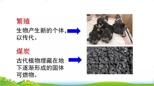 汉字粮怎么组词，粮组词（部编版五年级上册16课《太阳》图文讲解）