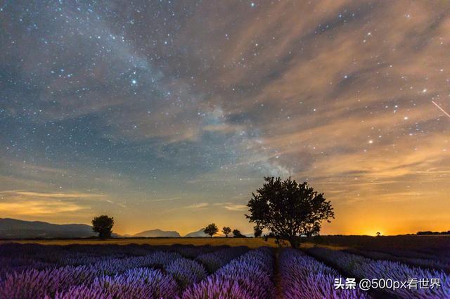 普罗旺斯在哪里，蓝田普罗旺斯在哪里（一个美得醉人又芳香扑鼻的地方）