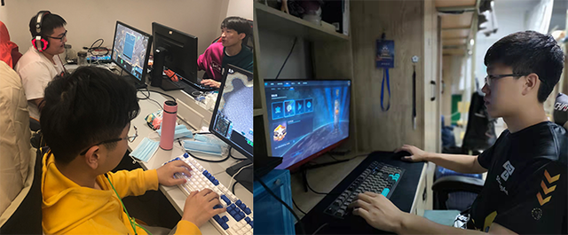 柳丁是什么，年轻人的星际争霸（柳丁是什么鸟）