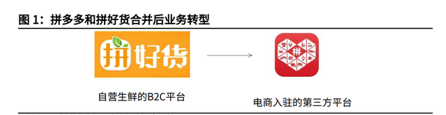 个人成长分析报告，个人成长分析报告总结（拼多多专题研究与投资价值分析报告）