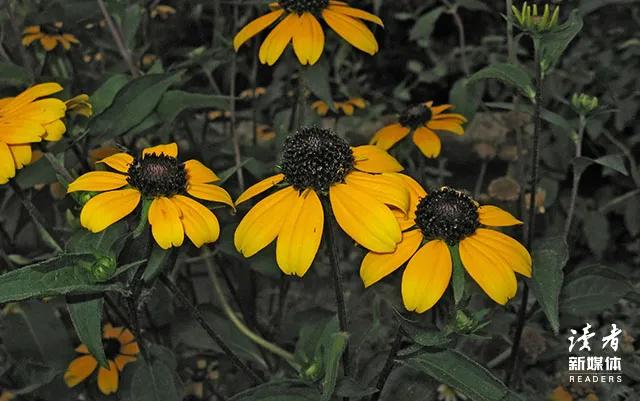 人的一生要过的三个阶段，人生的3个阶段：阅己