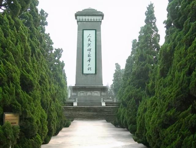 中药材侧柏叶，侧柏叶对脱发的功效（王药师说本草-清明时节话侧柏）