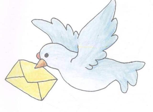 鸽子简笔画怎么画，抓住大的形体简单易学（简笔画：高清鸽子简笔画）
