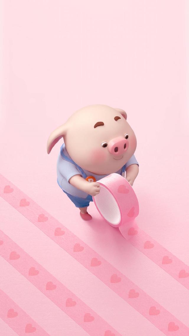 猪的照片可爱萌萌图片