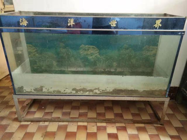 鱼缸怎么清理干净，鱼缸清洁中的正确方法（朋友送给我一个旧鱼缸我准备以下的方法消毒）