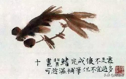 金鱼画法步骤图解,国画写意鲤鱼、金鱼的画法 金鱼画法步骤图解,国画写意鲤鱼、金鱼的画法