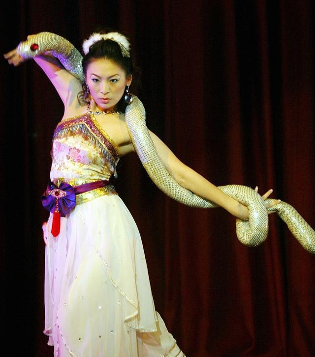 遇到死蛇有什么预兆，梦见死蛇是什么预兆（更别滥捕滥食野生动物）