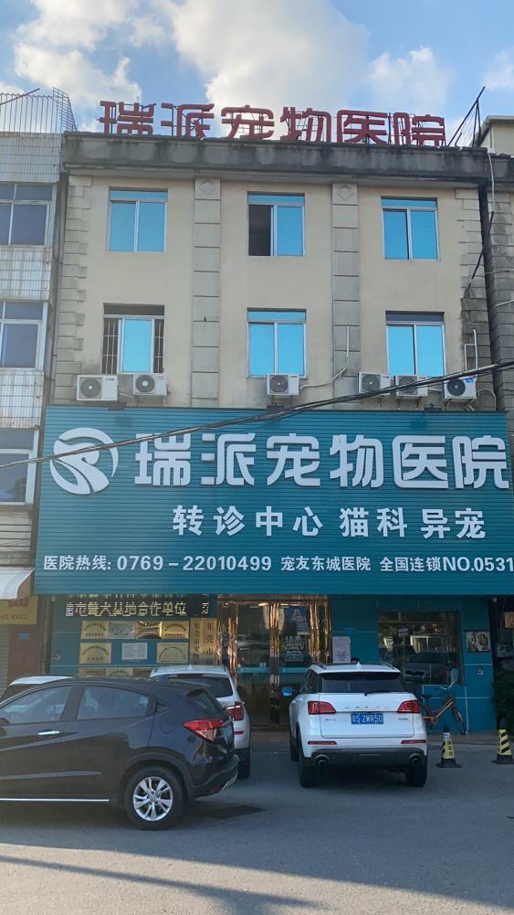 哈尔滨宠物医院，十大哈尔滨宠物医院排名（瑞派宠物医院告诉你最牛医院的正确打开方式）