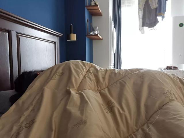 驼毛被子的优缺点，驼绒好还是羽绒被好_驼绒和羽绒被哪个好（五种常见材质被芯全方位对比）